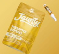 Pineapple Express | 510 | CDT | 1g