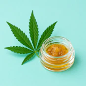 BUDDIES | JACK HERER - SUGAR | EXTRACT | 1G