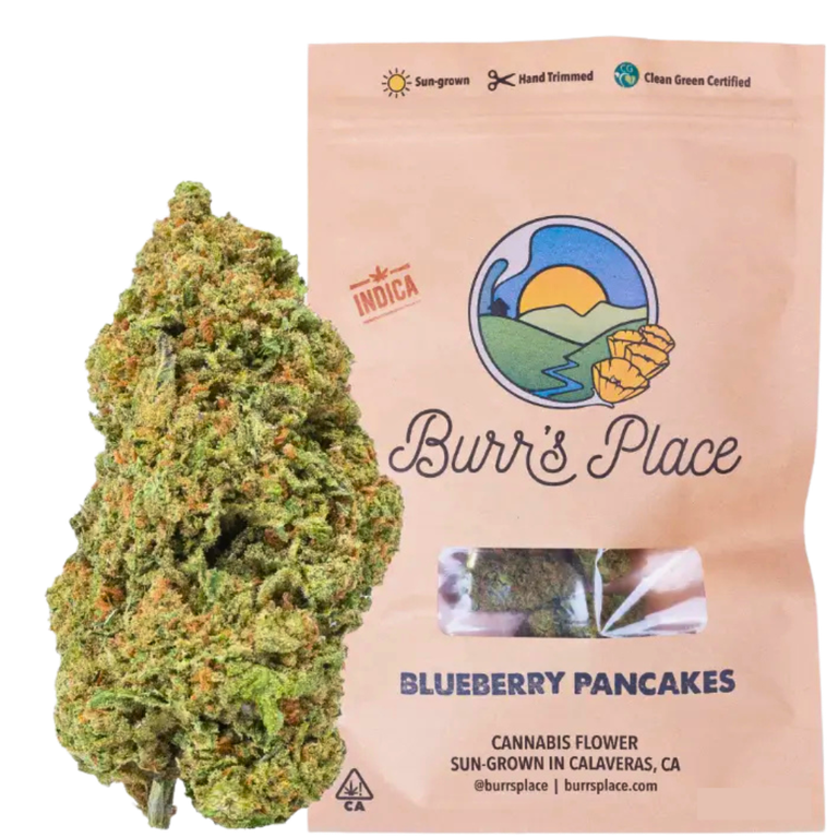 Burr's Place: Blueberry Pancakes