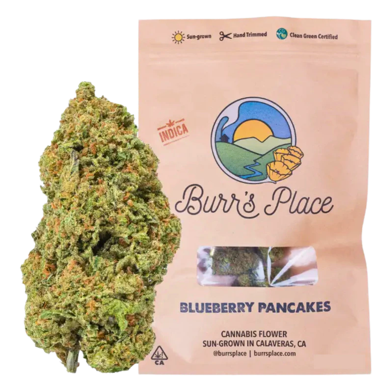 Burr's Place - BURRS PLACE | BLUEBERRY PANCAKES | FLOWER | 3.5G Main Image