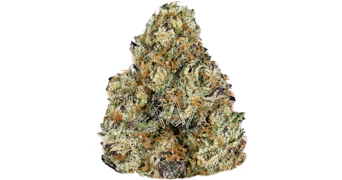 Blem - Cyattie - 10g