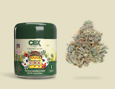 CANNABIOTIX: Casino Kush 3.5g (I)