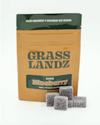 Gummies-EN | Grasslandz | Sour Blueberry | 10 ct