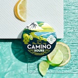 Camino - Sours Citrus Punch - 100mg