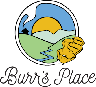 Burrs Place - Burrs Place Carbon Fiber Sun-Grown Flower 28G