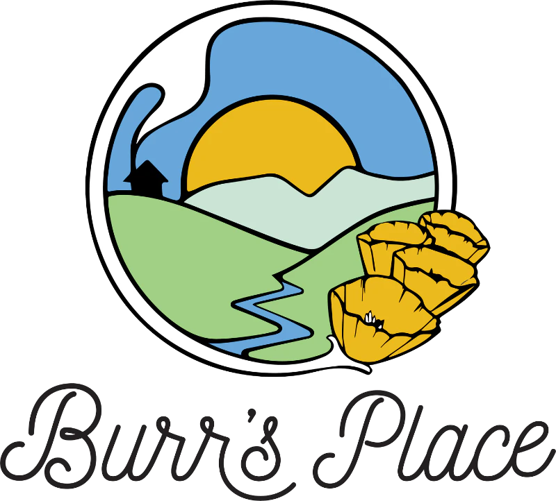 Burr's Place - Burrs Place Nimbus Snack Sun-Grown Flower 28G Main Image