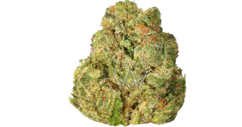 Glass House Farms - Sugar Tarts - 3.5g