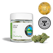 JELLY FISH - 3.5 GRAMS