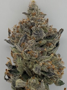 KORNER BOYS - Korner Boys | Flower | Gusher | 3.5g