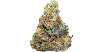 Green Dragon - Violet Gelato - 3.5g