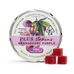 Grand Daddy Purple Gummies - Plus Products