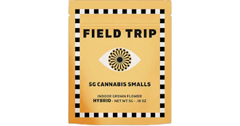 Field Trip - Highlighter Smalls - 5g