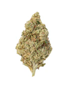 Nightmare Haze THCa