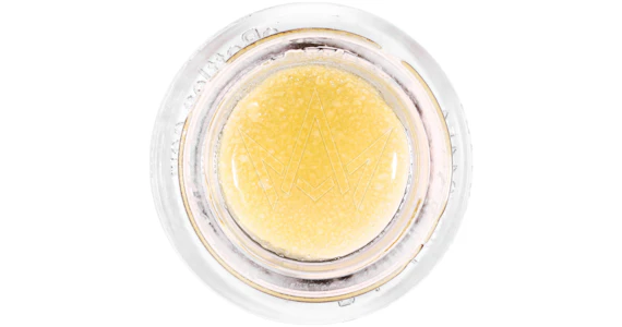 STIIIZY - Stiiizy - White Runtz Curated Live Resin - 1g