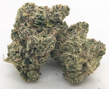 RiverRun Gardens - Lobster Pot - 7g - RiverRun Gardens