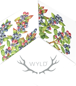 WYLD - WYLD Huckleberry Hybrid Gummies 100mg