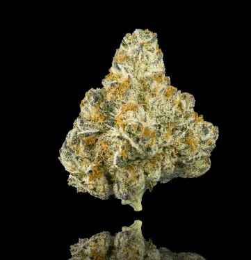 Mary's Medicinals™ - [YULA] Flower - 3.5g - Lemon Cherry Runtz (H) Main Image