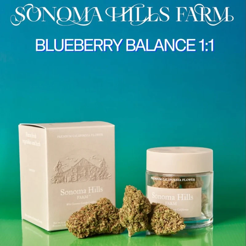 Sonoma Hills Farm - Blueberry Balance 1:1 - 3.5g (H) - SHF Main Image