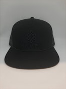 Haven - Main Collection - Black on Black Panel Hat