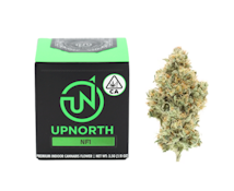 NF1 - Flower Jar - 3.5g - Upnorth