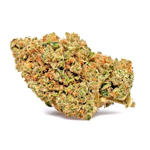 Source Cannabis - Source Flower 3.5g King Louis OG $55