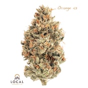 Orange 43 - 3.5g (S) - Local