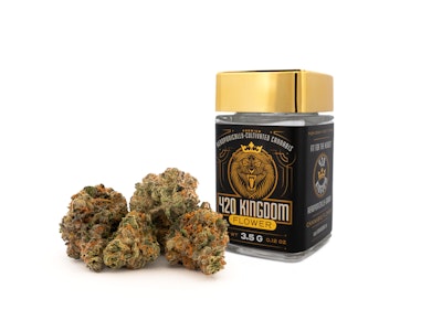 420 KINGDOM - 420 Kingdom - Gelato 41 - 3.5g Flower - 420K