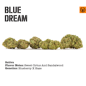 FARMER AND THE FELON - Blue Dream - 7g (SH) - FnF