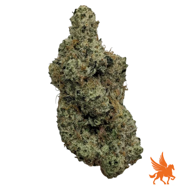 Pegasus Green - TANGIE Main Image
