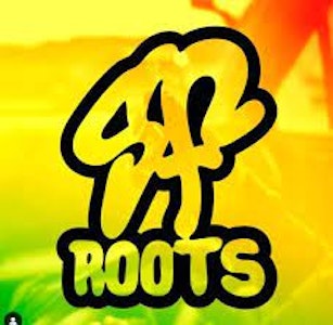 7pk -  Jealous Kush Mints - 3.5g (H) - SF Roots