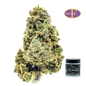 LIT HOUSE - Red Dragon