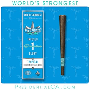 PRESIDENTIAL - [Presidential] Infused Moonrock Preroll - 1g - Tropical