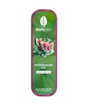 DOMPEN: WATERMELON ICE 1G ALL-N-ONE