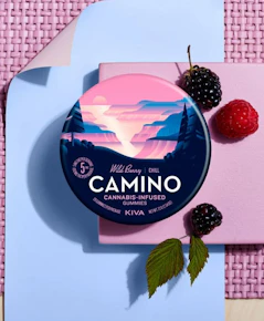 Wild Berry Chill 100Mg