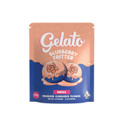 Blueberry Fritter 3.5g Bag - Gelato
