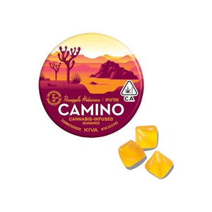 Kiva Confections - Pineapple Habanero Uplifting Camino Gummies | 100mg | KVC