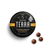 TERRA SEA SALT CARAMEL - 100 mg - 20 Pack