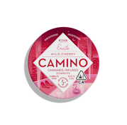 Camino | Wild Cherry | Gummies | [100mg] 20pc | Sativa