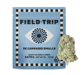 Field Trip - Field Trip Smalls 5g Mango Haze
