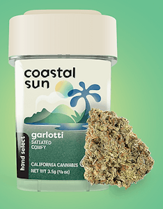Coastal Sun Flower 3.5g - Garlotti 29%