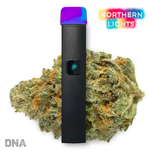 PlugPlay - Northern Lights (I) | 1g Disposable | Plug Play