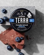Terra Milk Chocolate Blueberry Bites - 100mg