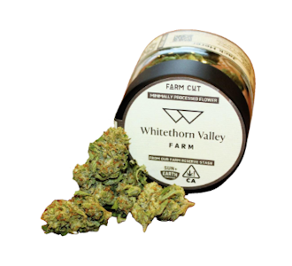 Farm Cut - Farm Cuts | Whitethorn Valley | Jack Herer | Flower | 1/4oz