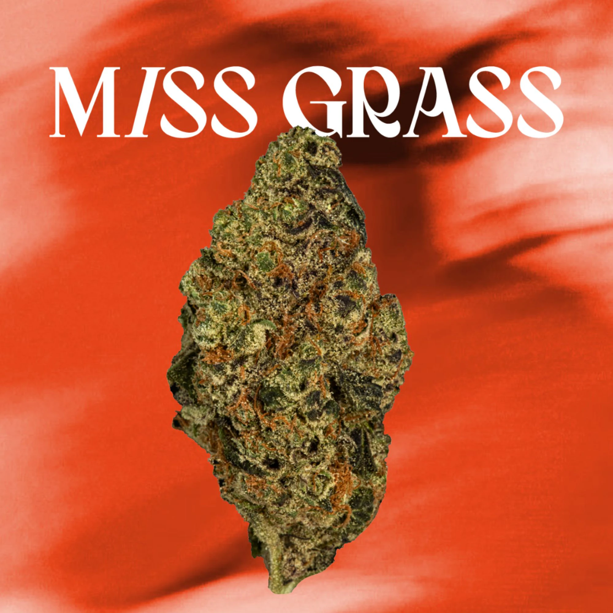 Miss Grass - Miss Strawberry - Fast Times - 3.5g 42135 Main Image