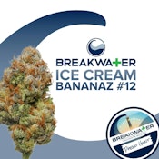 Breakwater | Flower | Ice Cream Bananaz #46 | 3.5g