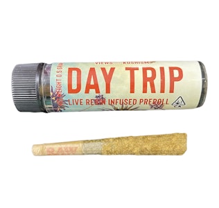 Day Trip: Infused Preroll 0.5g