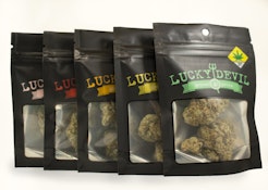 Lucky Devil | Sleeping Beauty | 3.5g