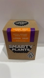 Smarty Plants - Lemon Drop 3.5g Jar - Smarty Plants