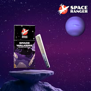 Space Ranger - [REC] Space Ranger | Meteor Melon | 1.25g/1pk Hash Hole