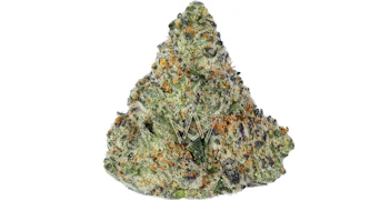 Delighted - Traffic Stopper - 3.5g